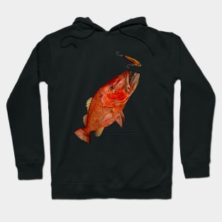 CUBERA SNAPPER Hoodie